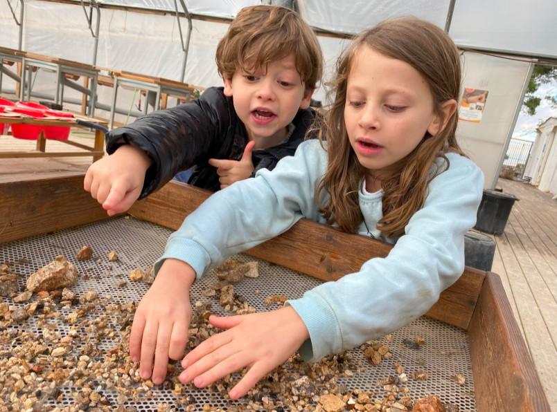 The Temple Mount Sifting Project: A Hands-On Adventure in Archaeology