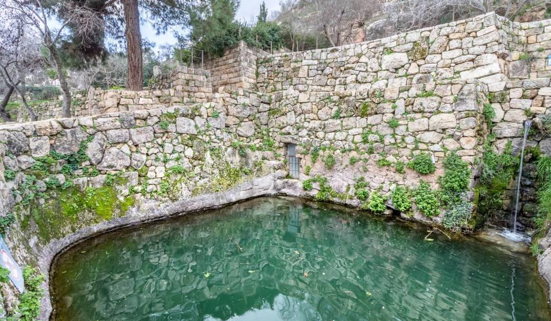 צילום של מעיין הסטף