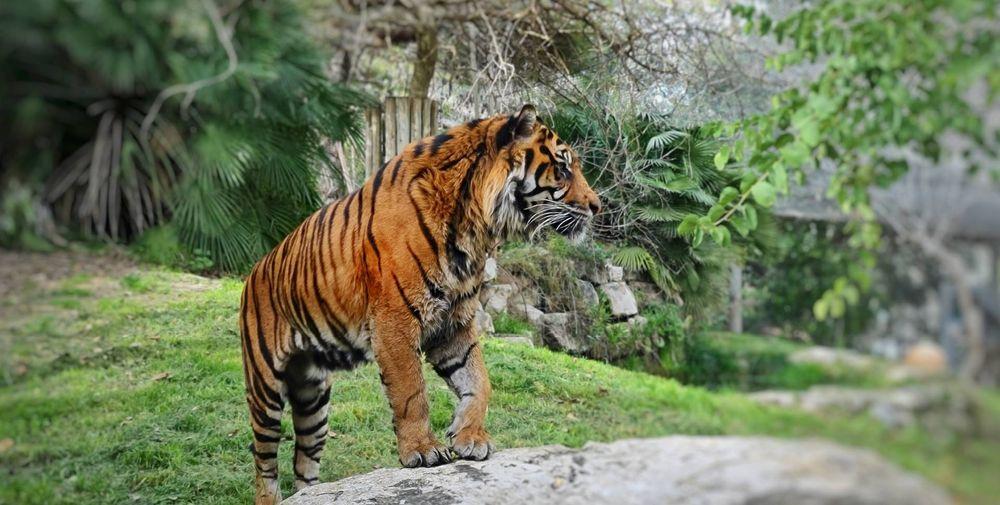 צילום של מטיילים בשבילי גן החיות התנ"כי