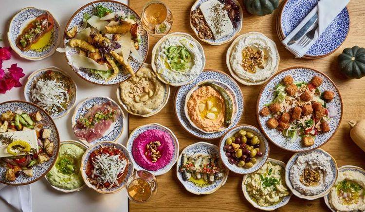 צילום: יונתן בן חיים