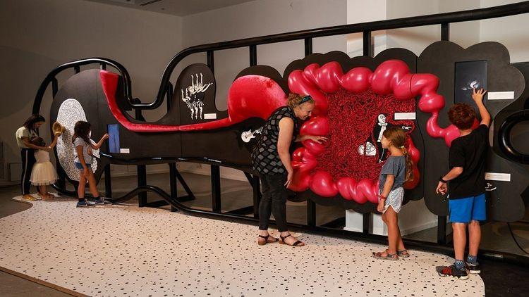 צילום: אריאל שרוסטר