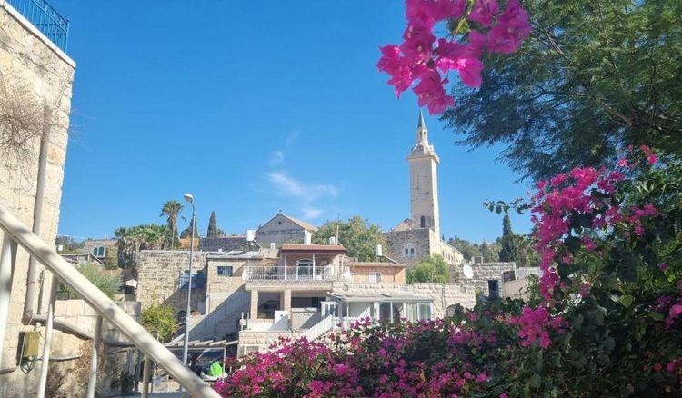 צילום: טלי יהושע