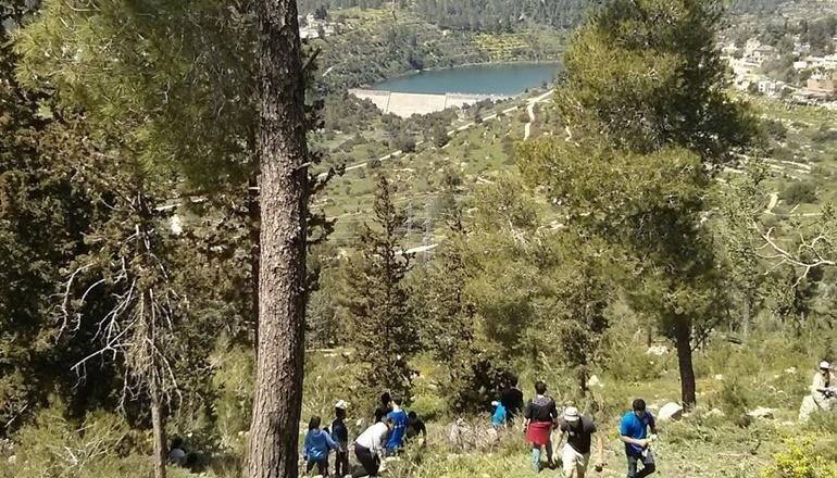 סיורי מרכז ציפורי ביער ירושלים