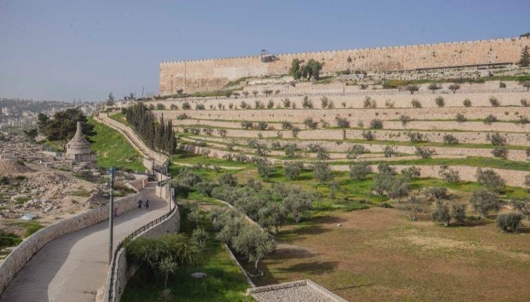 Tour di Petra di Gerusalemme - Valle del Kidron