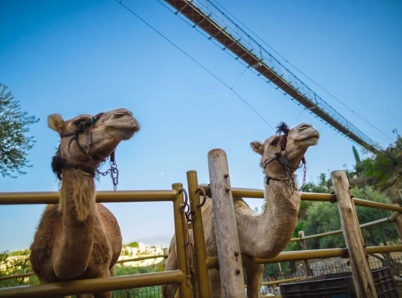 צילום של בשבילי החווה בגיא - סיור מודרך