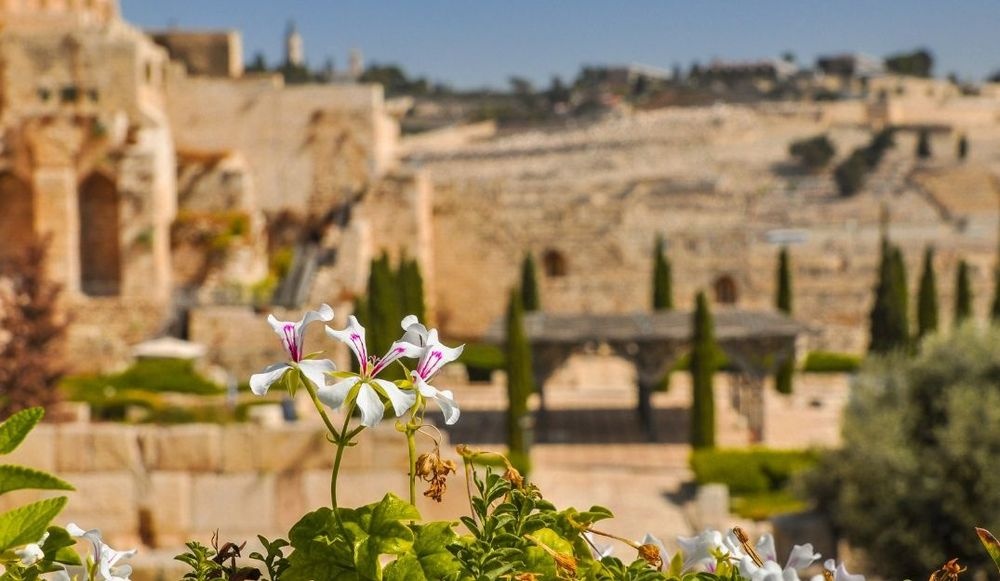 צילום של שלושת אלפי שנות היסטוריה בסיור מודרך ברובע היהודי
