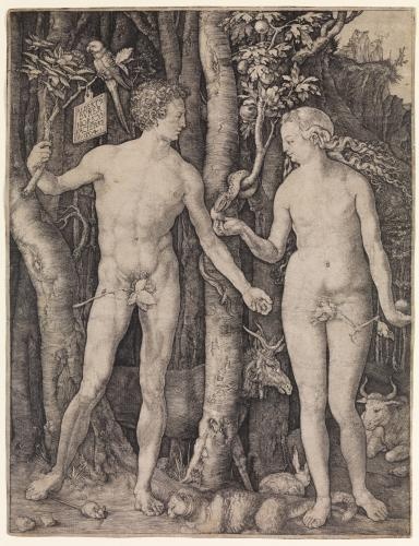 photo of The Medium and the Message