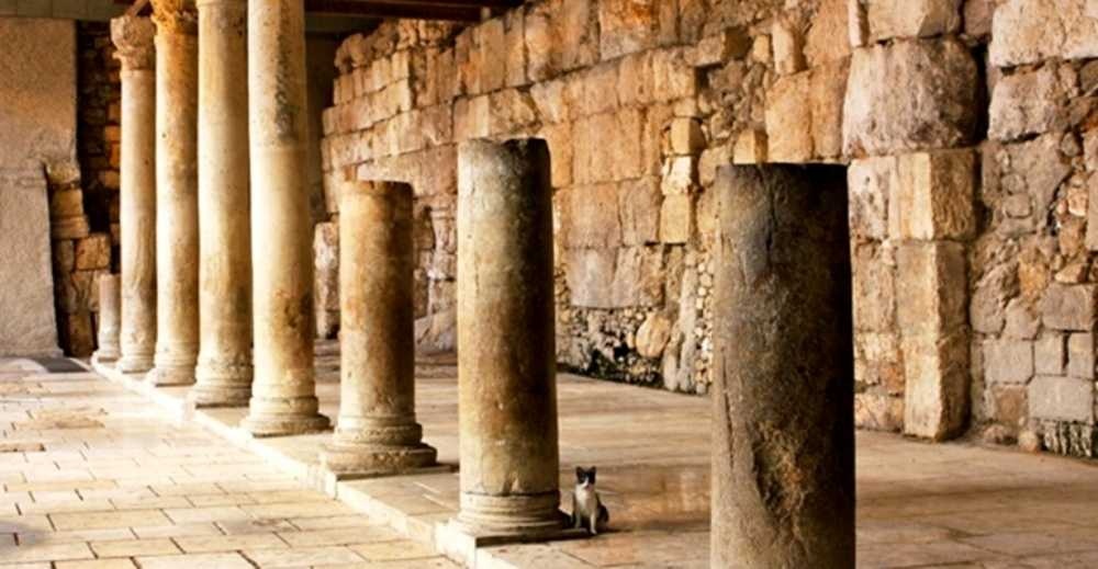 foto di Il Cardo - L'antica strada romana