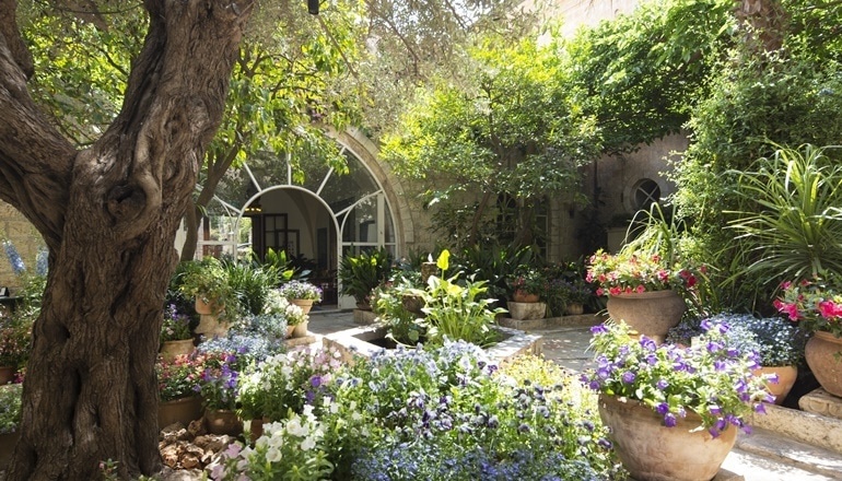 photo of The American Colony