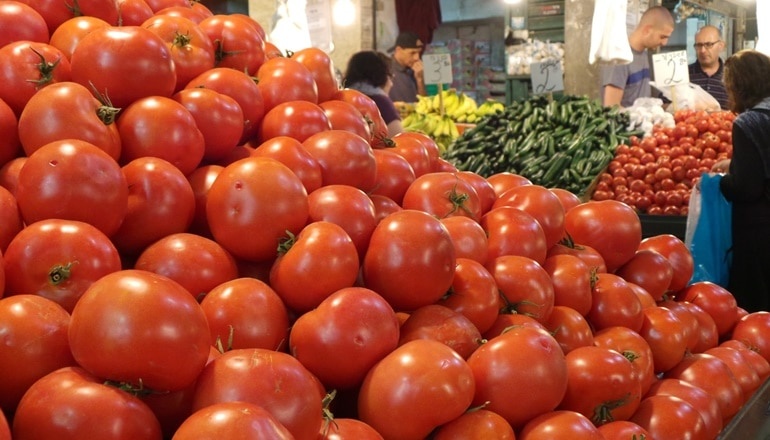 צילום של סיור קולינרי פרטי למשפחות וחברים עם מכללת טעמים