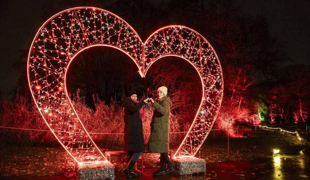 צילום: MK ILLUMINATION ISRAEL