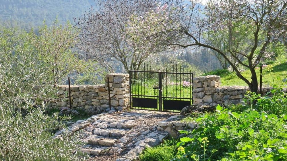 צילום של ניסים ארגמן