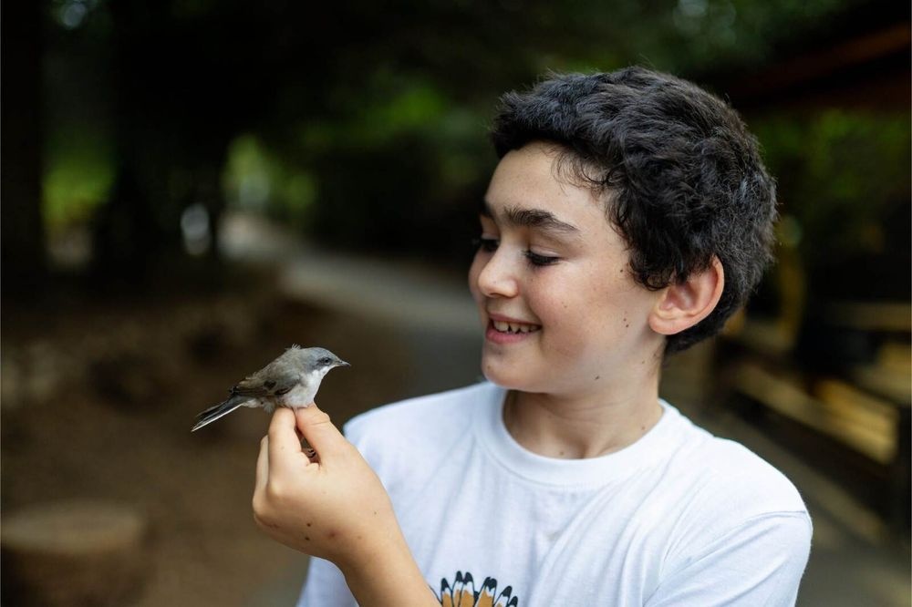 צילום של התחנה לחקר ציפורי ירושלים ע"ש נילי ודוד