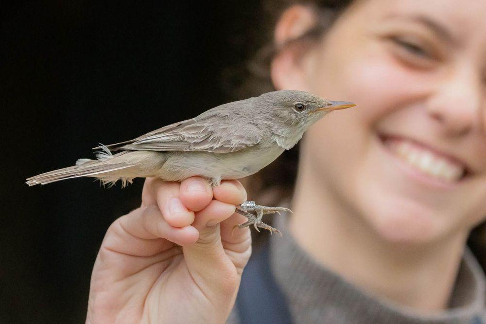 The Nili and David Jerusalem Bird Observatory