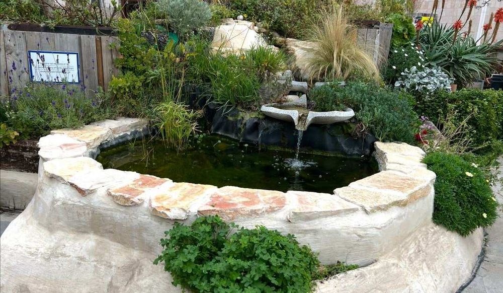 צילום של חברתי ירושלמי": מסע אל המיזמים החברתיים שמשנים את העיר"