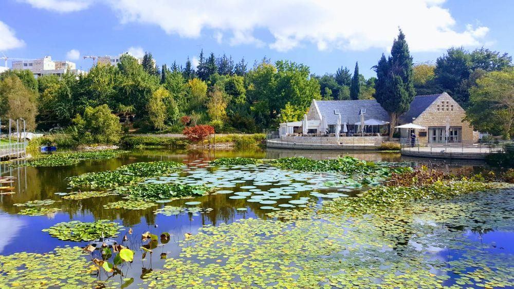 The Jerusalem Botanical Gardens