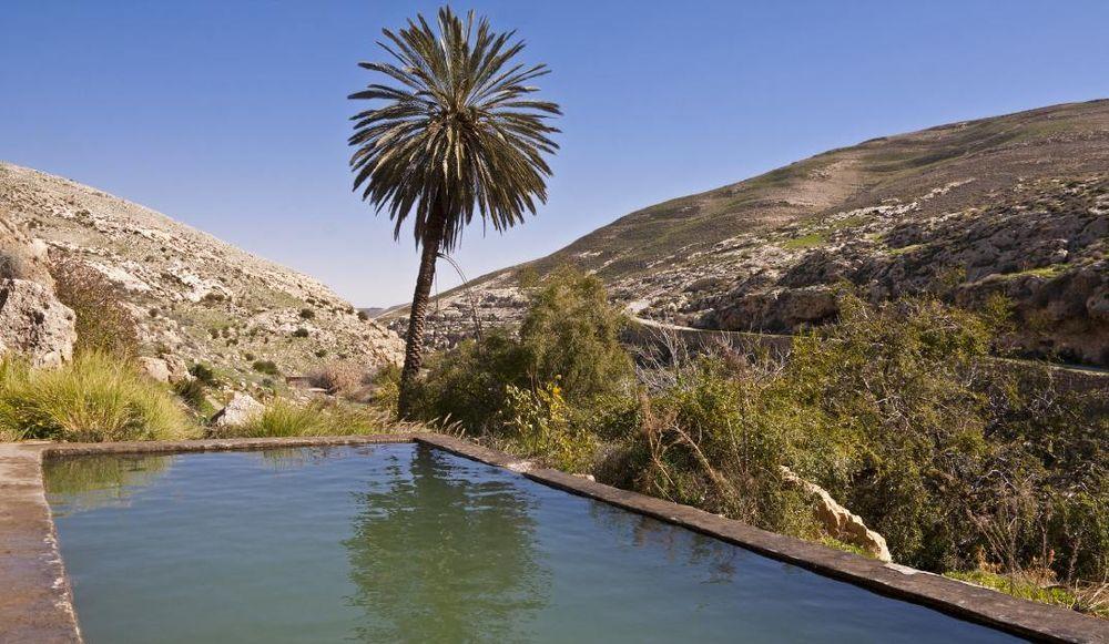 מסלולי טיולים מומלצים באזור ירושלים: מים, מעיינות וחוויות אתגריות