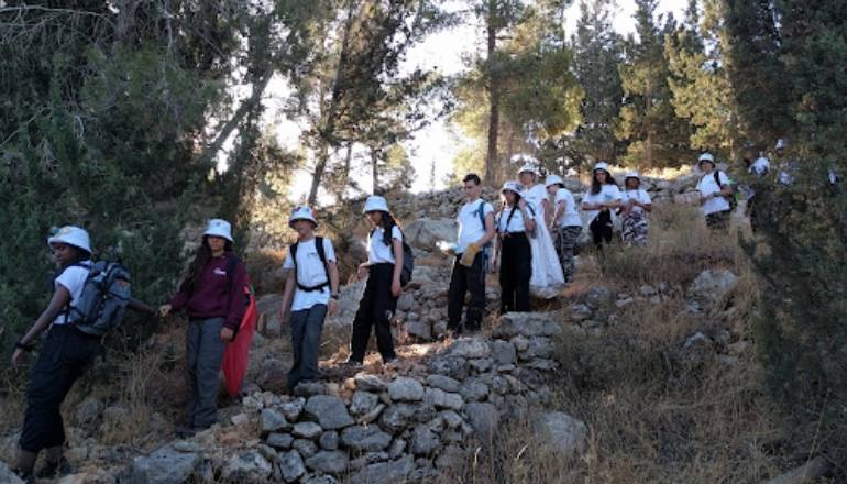 צילום של סיורי מרכז ציפורי ביער ירושלים