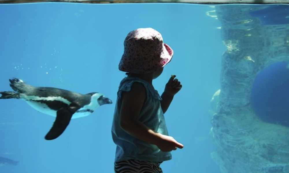 photo of Jerusalem Biblical Zoo