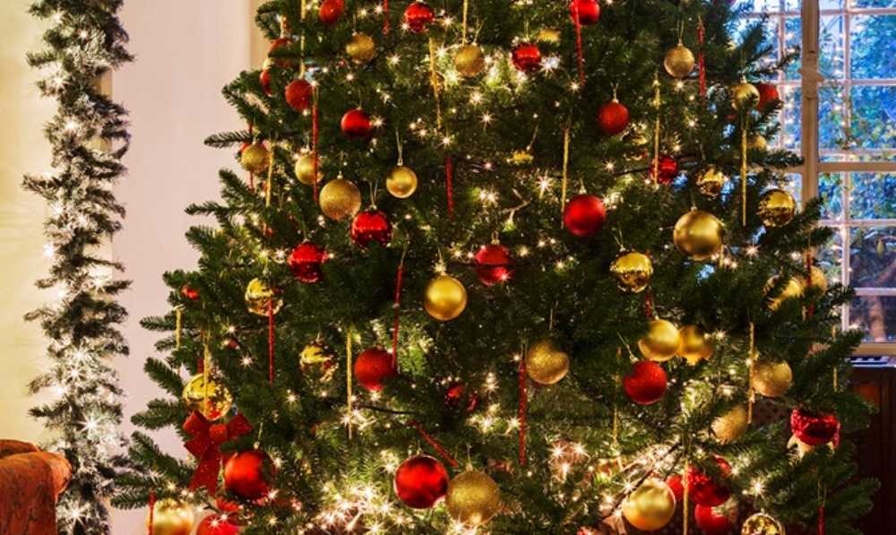 foto di Tour di Natale di 2 giorni a Gerusalemme e Betlemme