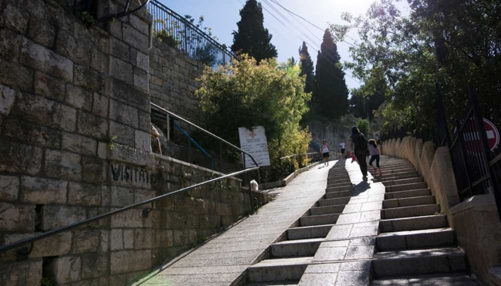 צילום של מבקרים בעין כרם