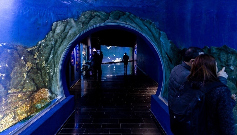 צילום של אקווריום ישראל