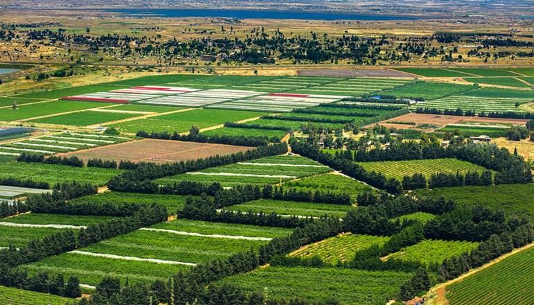 foto di Tour del pacchetto di 10 giorni delle gemme classiche di Israele e Petra