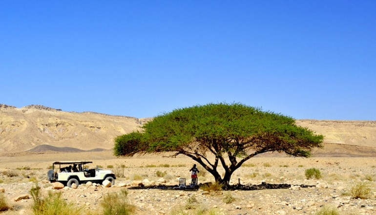 foto di Esperienza in jeep safari nel deserto e Mar Morto
