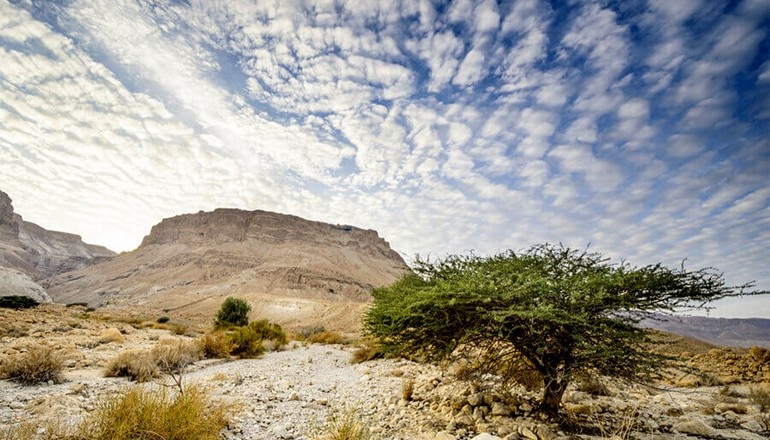 foto di Esperienza in jeep safari nel deserto e Mar Morto