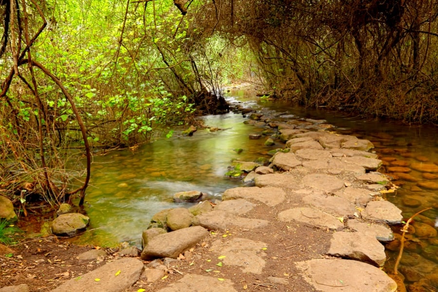 foto di Tour del pacchetto di 12 giorni delle gemme classiche di Israele e Petra