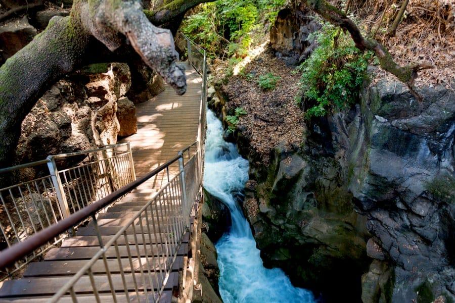 foto di Tour del pacchetto di 9 giorni sui tesori ebraici di Israele e Petra